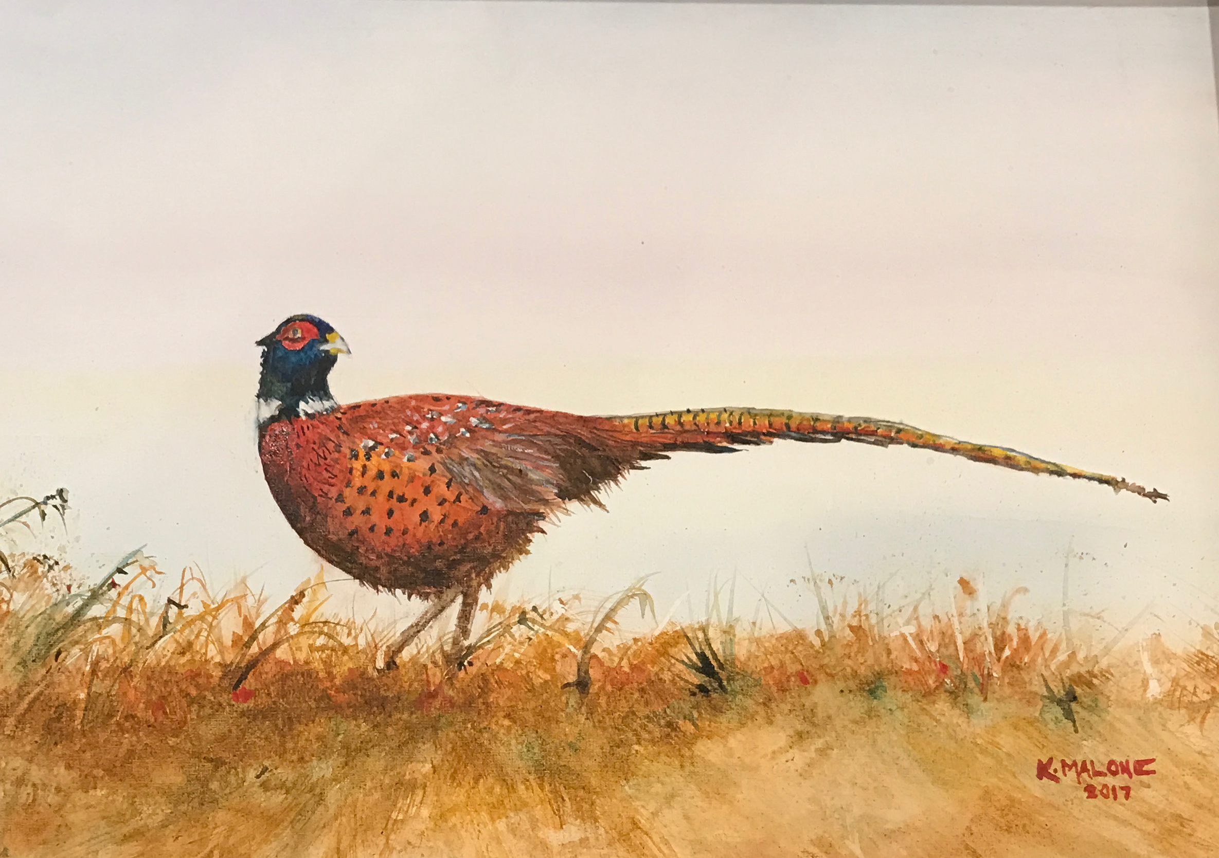 SOLD Pride of the Panhandle