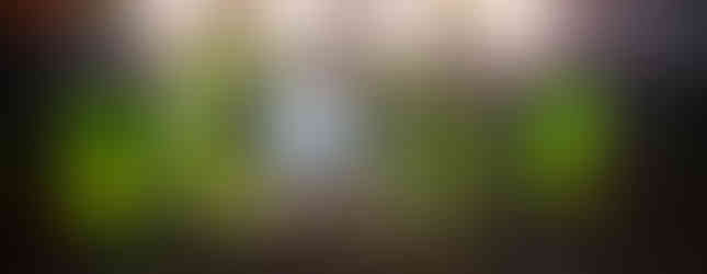 Olodum e Russo Passapusso no palco em apresentação no Sensa! 2022