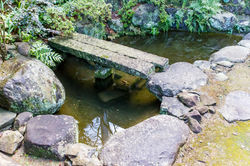 池と石橋