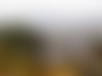 ゆ～きや、こんこん