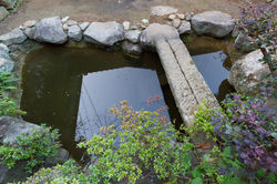 池と石橋