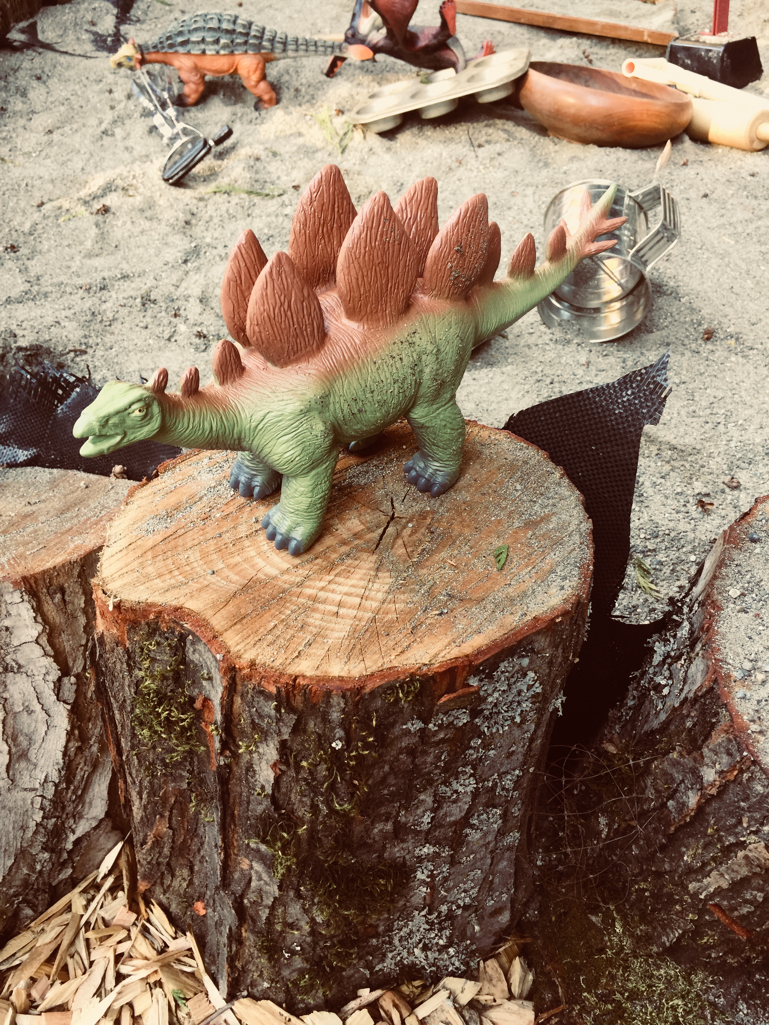 the-growing-tree-and-treehouse-playcare-preschool-pre-k