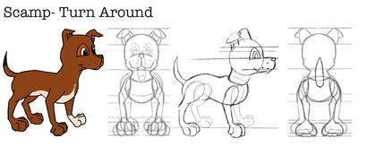 ScampTurnAround.jpg