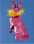 Thumbnail: Bunny