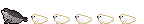 海豹.gif
