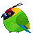 獨角鸚鵡.gif