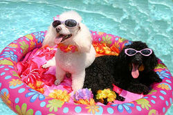 keeping cool 6