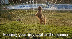 keeping cool 3