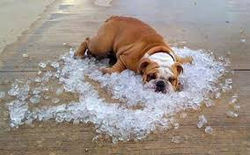 keeping cool