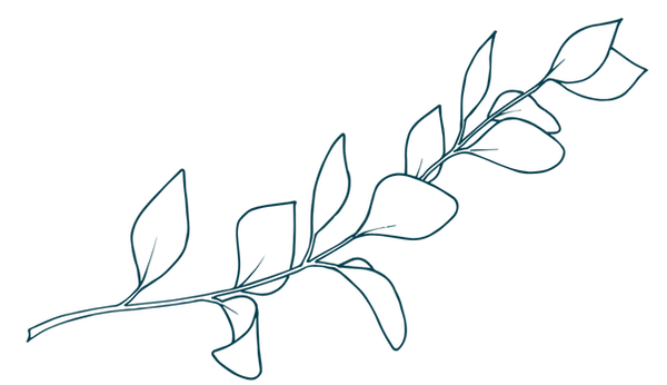 Eucalyptus