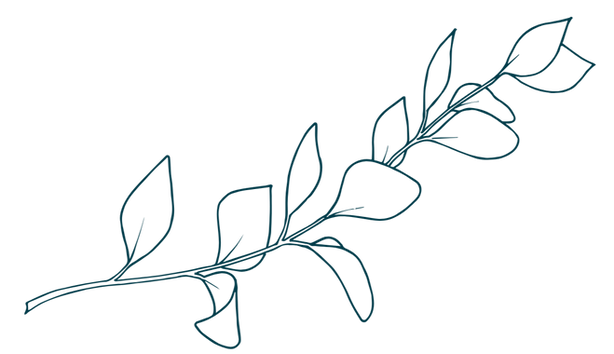 Eucalyptus