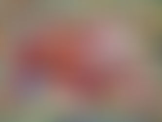 When is a Fetus Considered Born