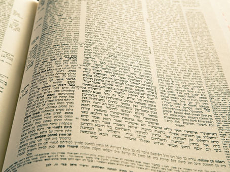 Noahides and the Oral Torah