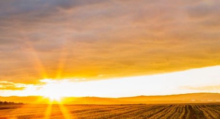 Daily Wisdom 18 Shevat