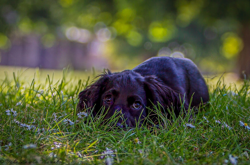 A27U4710-Edit Smart Photo-1