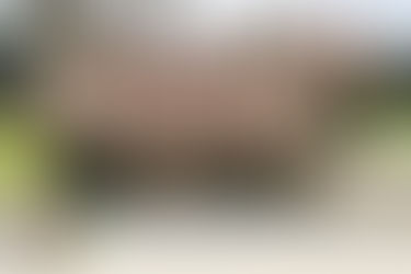 Scout Sunday & Being of Service