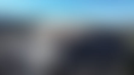 Quaking Aspen - Dads & Scouts Campout - June '24