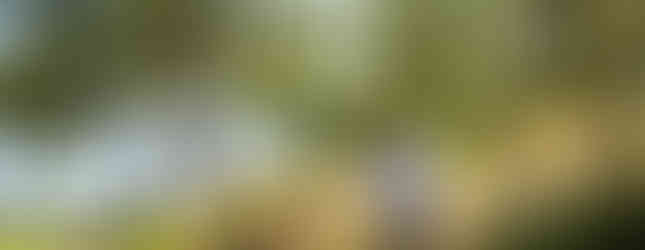 Joey with his camera in hand, 22 July 2025