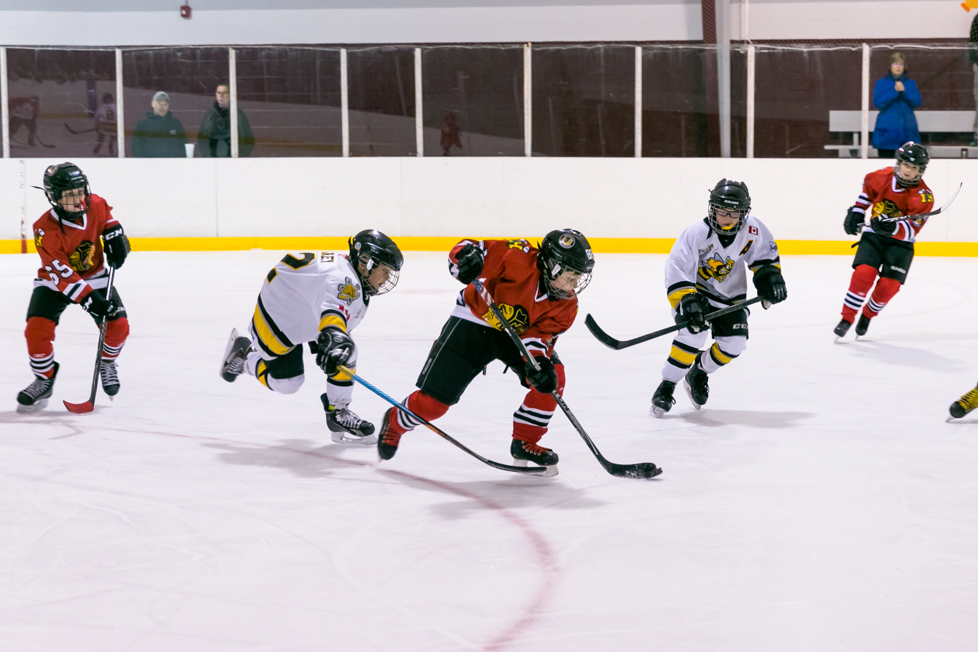 Puck hunting