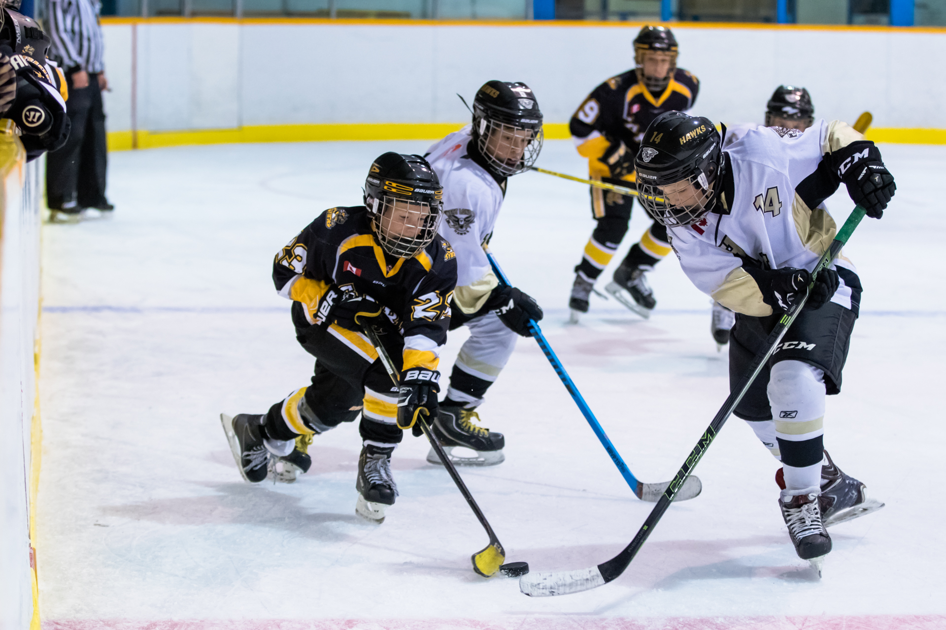 Puck challenge