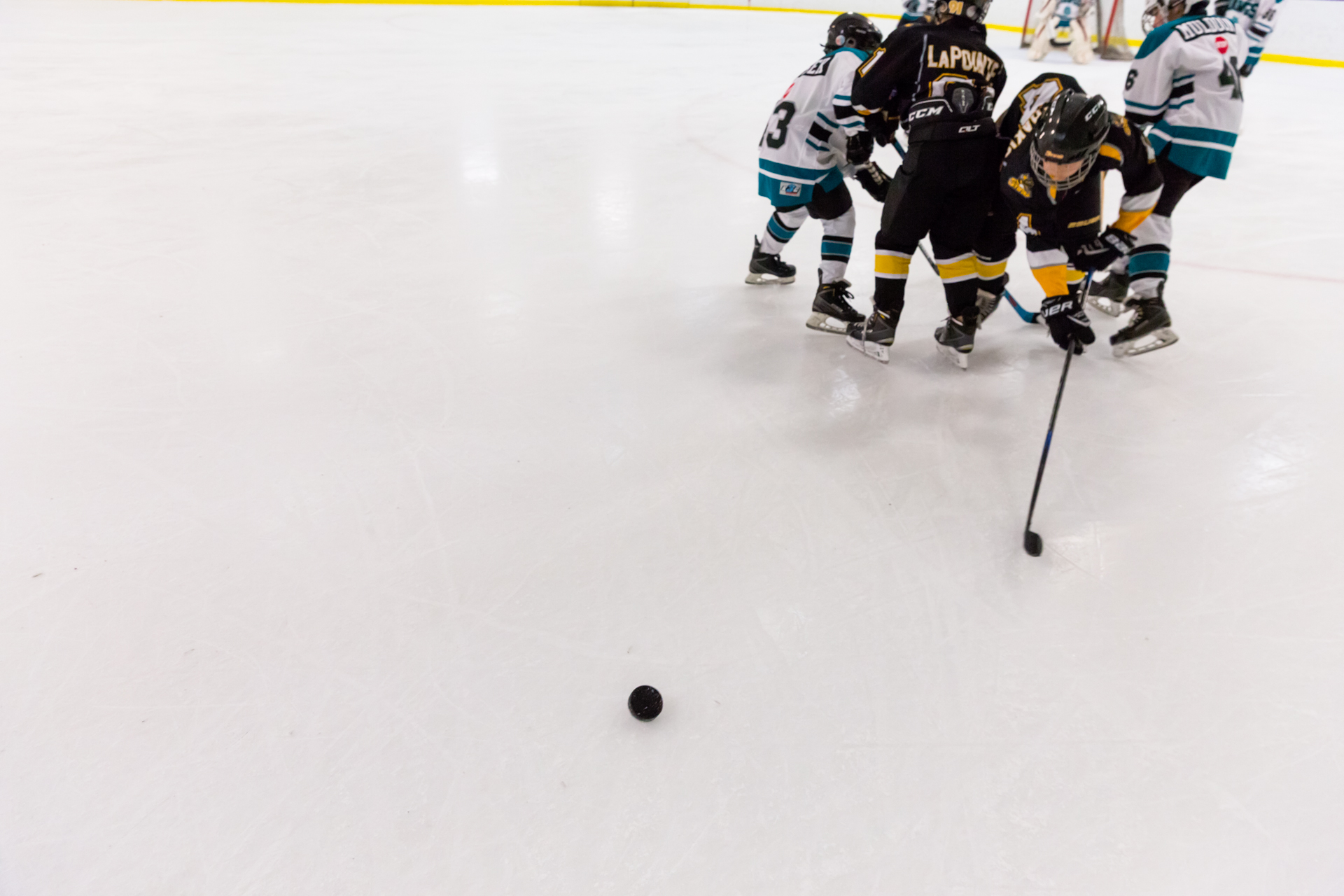 Slippery puck