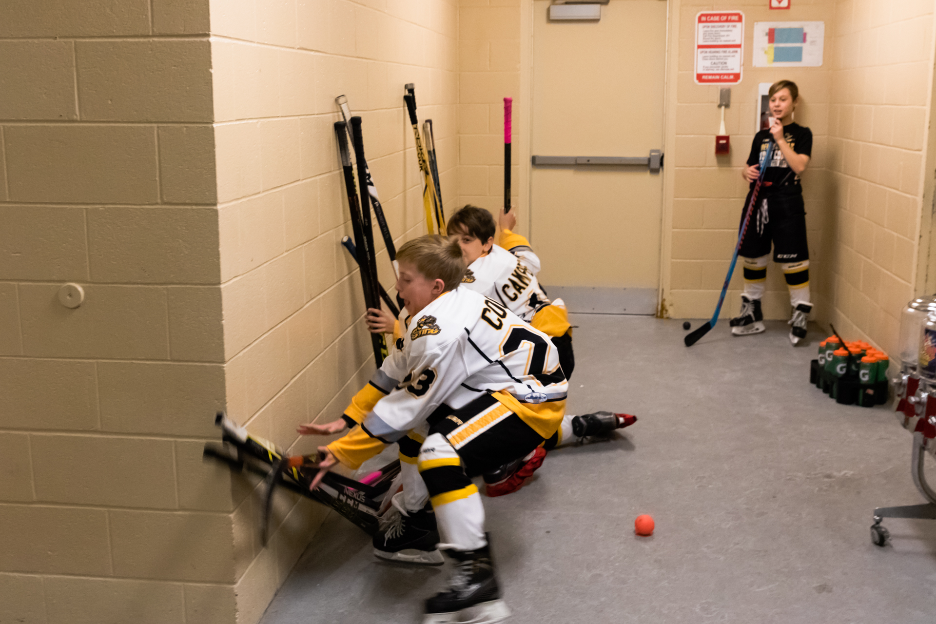 Hockey sticks