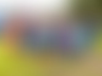 American Heritage Schools Announces Nine-Week Summer Programs Including Day Camp & Summer Education, June 9 to August 8