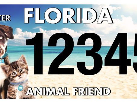 PURRR Adoption + Sanctuary Awarded $25,000 Grant from Florida Animal Friend