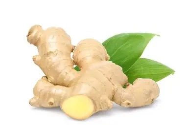 Organic Ginger 1 oz