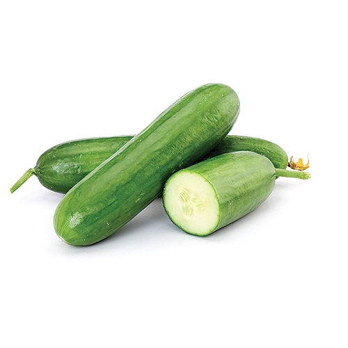 Fresh Cucumber 3 Count 1 oz