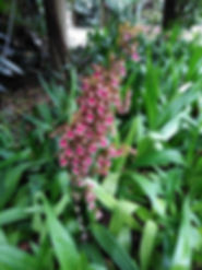WhatsApp Image 2019-07-11 at 17.09.08 (2