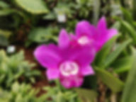 WhatsApp Image 2019-07-14 at 10.35.55.jp