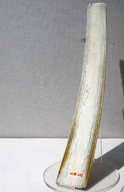 Ivory Tablet (Hu Ban) that Higher Rank Officials Hold When they Met with the Emperors in the Ming Dynasty
