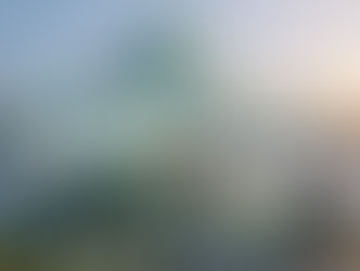 Qingqiu: The Enchanted Land of the Nine-Tailed Fox