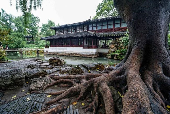 Jianshanlou (the King Li Xiucheng's Office) and ancient tree of Humble Administrator’s Garden