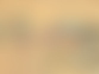 Wu or 伍 - The Roots of Chinese Surnames: Exploring Heritage and History