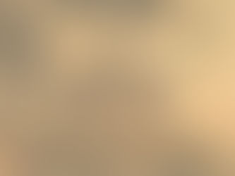 Lai or 赖 - The Roots of Chinese Surnames: Exploring Heritage and History