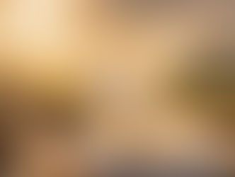 Bai Ze: The Wise and Auspicious Divine Beast