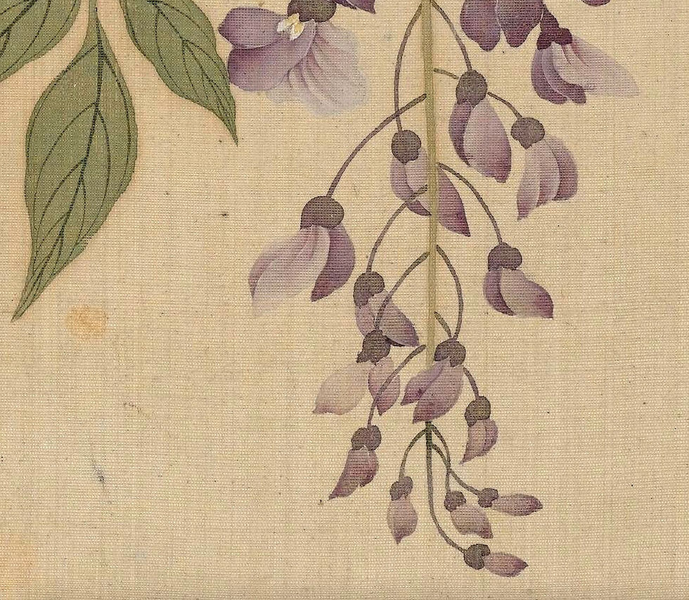 Thumbnail: Wisteria: Qing Dynasty Flower and Bird Painting Printable