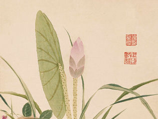 Yi or 易 - The Roots of Chinese Surnames: Exploring Heritage and History