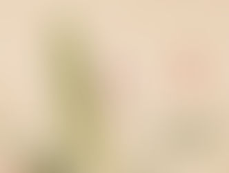 Yi or 易 - The Roots of Chinese Surnames: Exploring Heritage and History