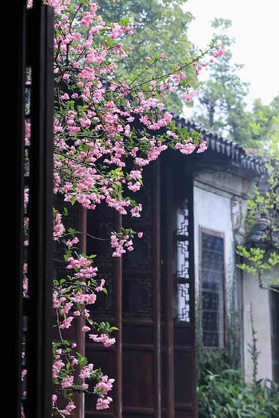 Flowers and ancient building of Lingering Garden of Suzhou, photo from the official site of Liuyuan.