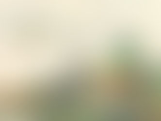 Gu or 顾 - The Roots of Chinese Surnames: Exploring Heritage and History