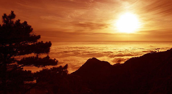 Trees and Cloud Sea on Top of the Mount Tai