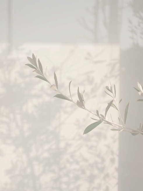 descarga (27)_edited.png