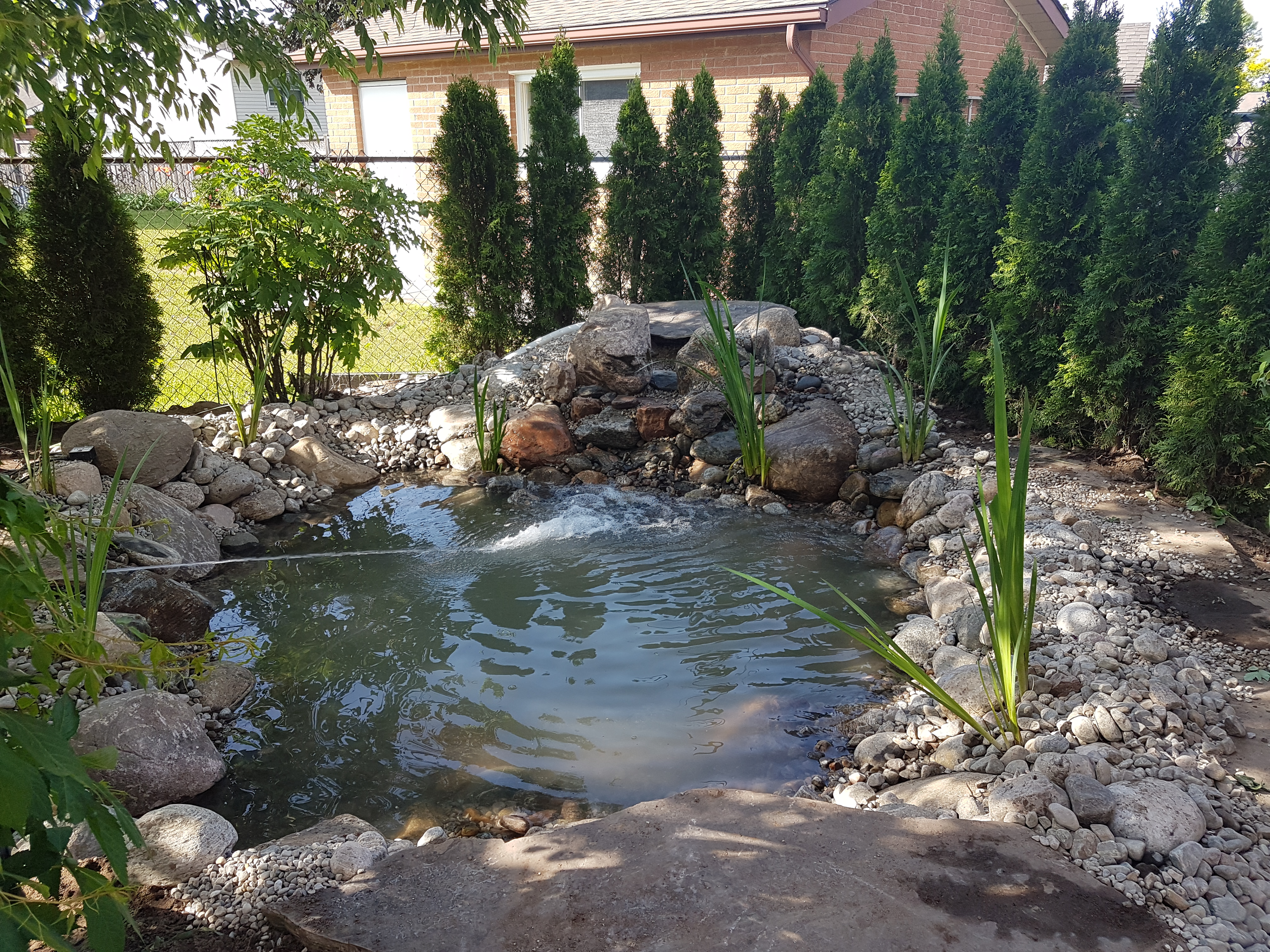 Filling up the pond.