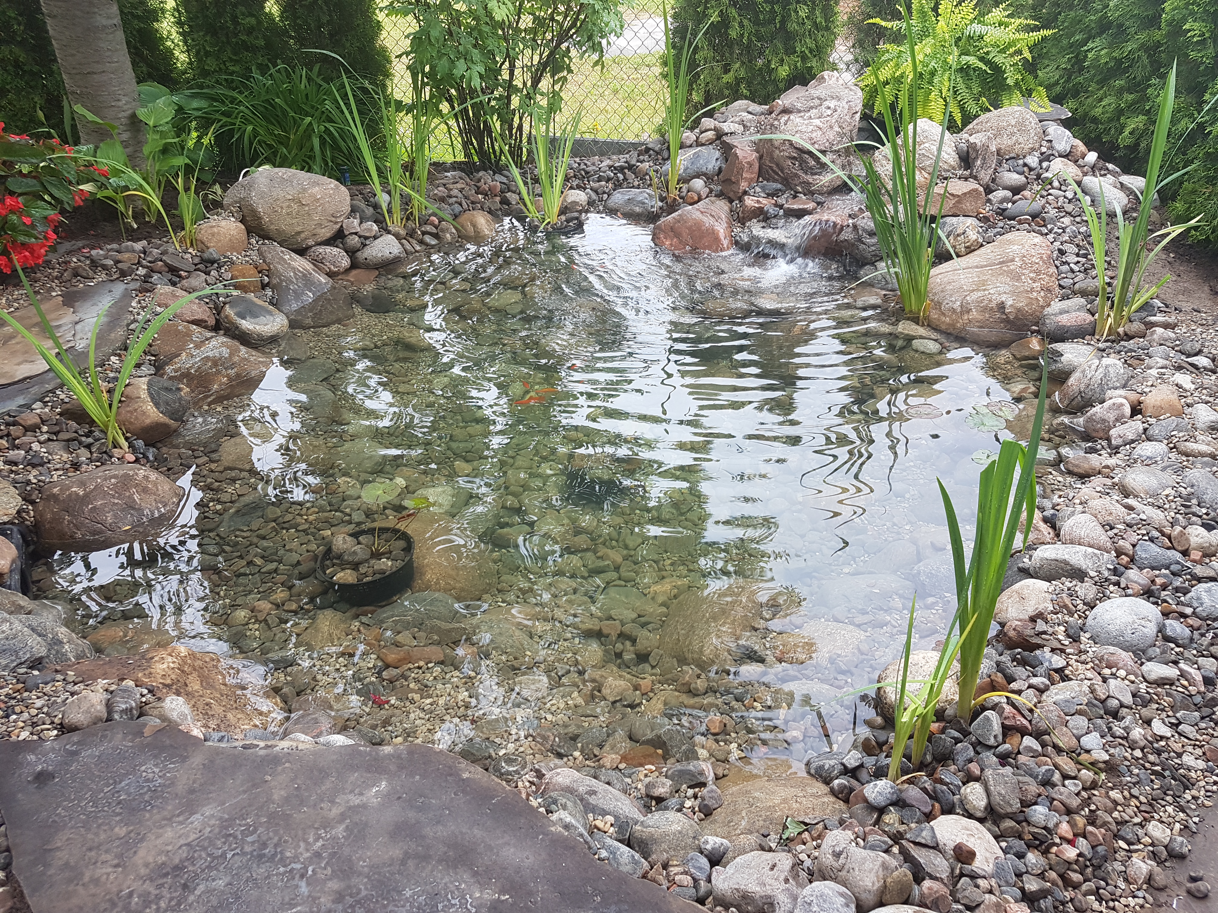 Pond filter working