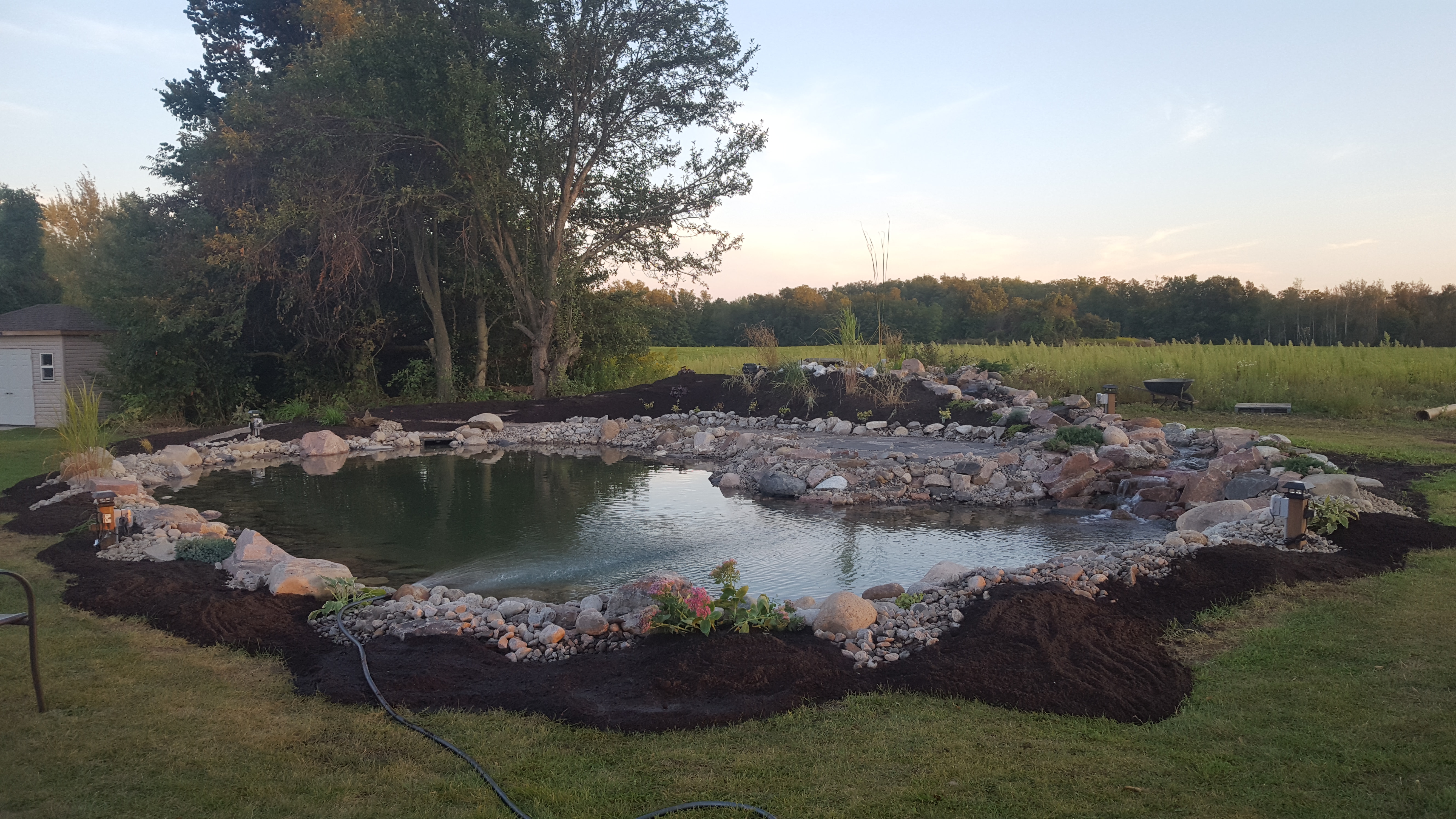 Swim Pond - Plantings