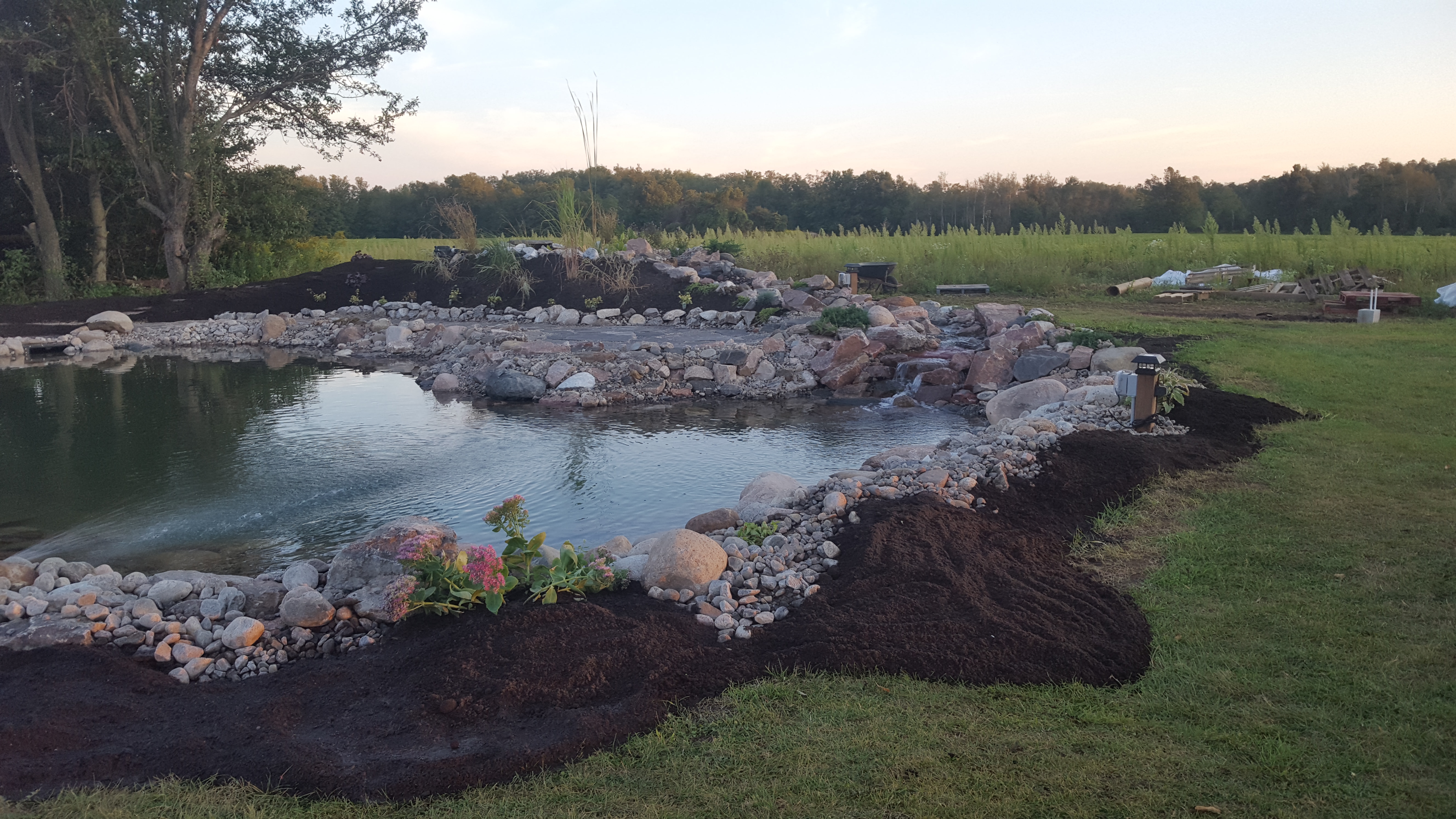 Swim Pond - Finished