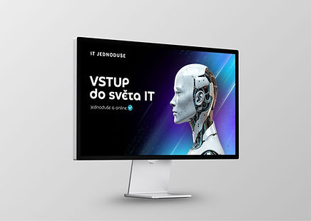 portfolio web.jpg